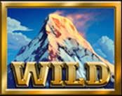 Wild symbol