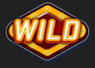 Wild symbol