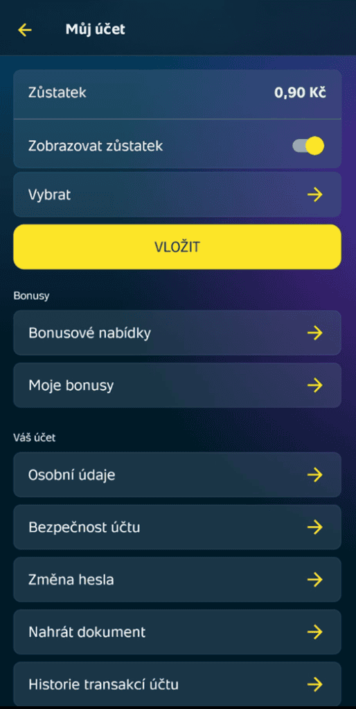 Správa herního účtu