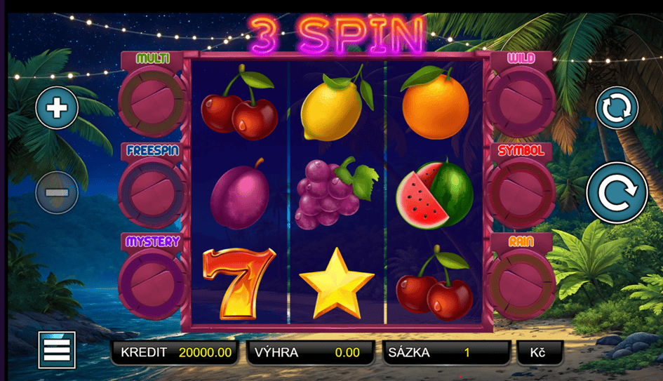 3 Spin