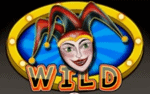 Symbol žolíka