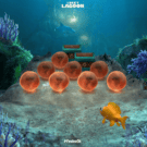 Lucky Lagoon