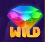 Wild symbol