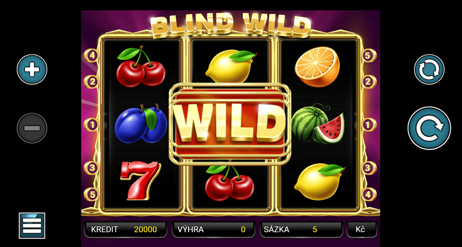 Blind Wild