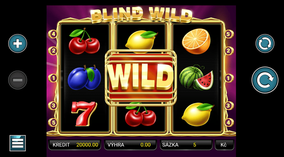 Blind Wild