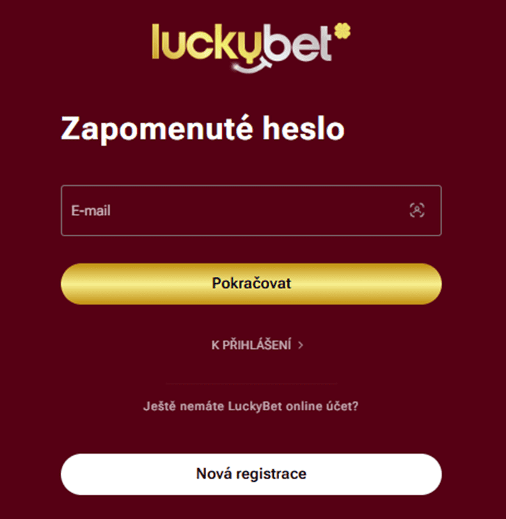 Možnost obnovení hesla