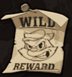 Wild symbol