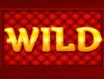 Wild symbol