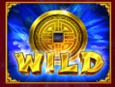 Wild symbol