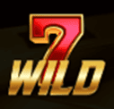 Wild symbol