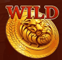 Wild symbol