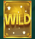 Wild symbol