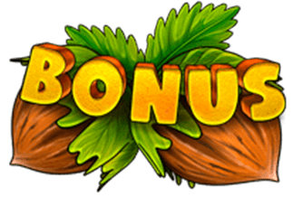 Bonusový symbol