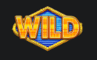 Wild symbol