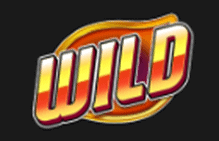 Wild symbol