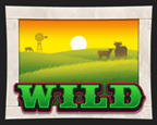Symbol Wild