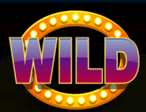 Wild symbol