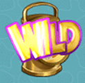 3 druhy wild symbolů