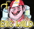 Symbol big wild