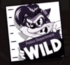 Wild symbol