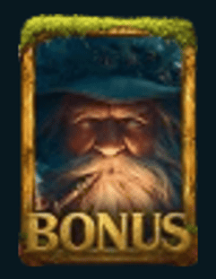 Bonusový symbol