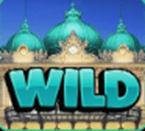 Wild symbol