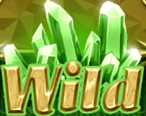 Wild symbol