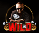 Wild symbol