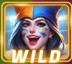 Wild symbol