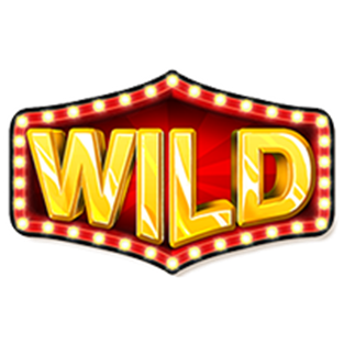 Wild symbol